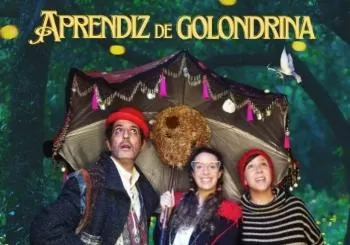 Aprendiz de Golondrina en Madrid