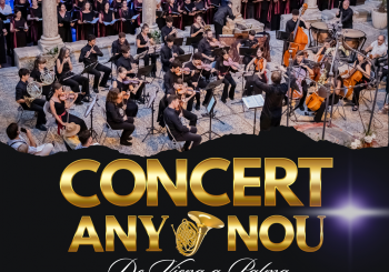 DE VIENA A PALMA. GRAN CONCERT D'ANY NOU DE L'ORQUESTRA CAMERATA BALEAR
