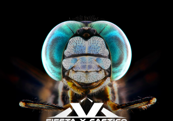 FiestaXcastigo 22.11 en Zaragoza