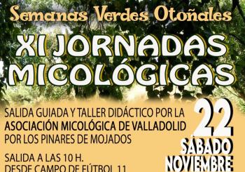 SEMANAS VERDES OTOÑALES 