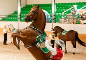Ritmo a Caballo