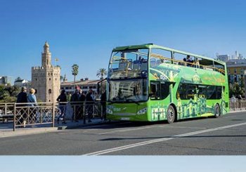 Bus Turistico 48h. + Crucero Panorámico en Sevilla