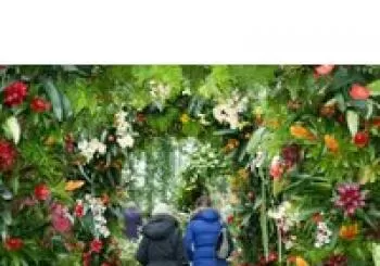 Kew Gardens + Kensington Palace en London