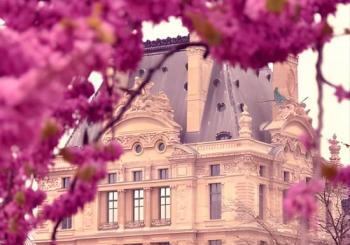 Small Group City Center Paris Walking Tour