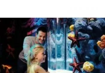 SEA LIFE Brighton Aquarium - Priority Entry en South East