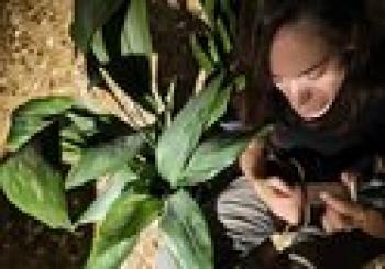 Catarsis de un fracaso en seis sueños sáficos en Madrid