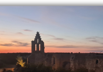 Visita guiada al Monasterio de la Armedilla. Domingo 30 de Noviembre 15 hs. y 16 hs en Cogeces del Monte
