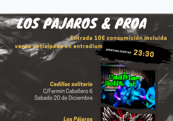 Concierto Benéfico: Los Pajaros & Proa - Tributo Pop-Rock - en Madrid