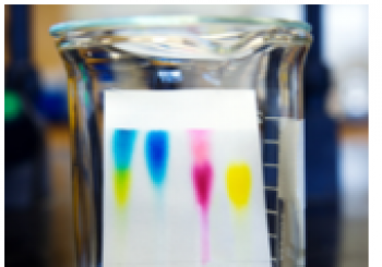 SCIENTIFIC EXPERIMENTS WITH COLORS en MADRID