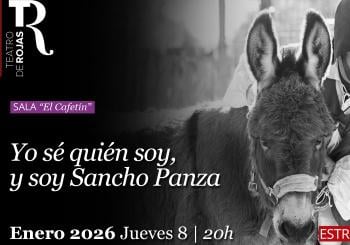 Yo se quien soy y soy Sancho Panza en TOLEDO