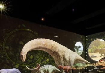 Planète Préhistorique : Dinosaures, L’expérience immersive à l’Atelier des Lumières en Paris