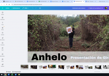 Anhelo - Sótano Analógico en Las Palmas de Gran Canaria