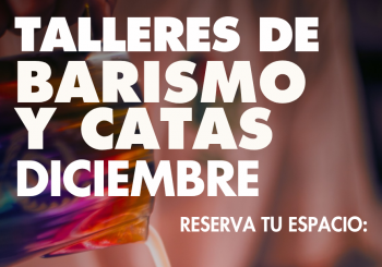 Coffee cupping en Palma De Mallorca