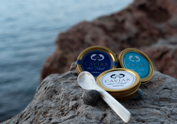 Sabores del Mundo: Edición Oro Gastronómico en Palma