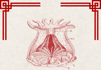 A BURIAL AT SEA (UK) en SALA CREEDENCE - Zaragoza
