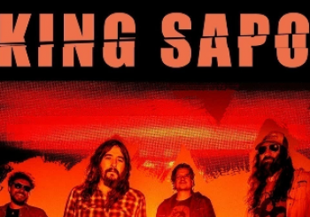KING SAPO en Jerez en JEREZ DE LA FRONTERA