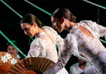 ZARZUELA & FLAMENCO en MADRID