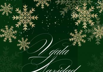 V GALA NAVIDAD GOLDEN DANCE STUDIO A favor A. Española Mutación GEN IQSEC2 CANTABRIA