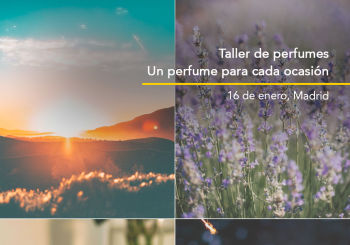 Taller presencial 
