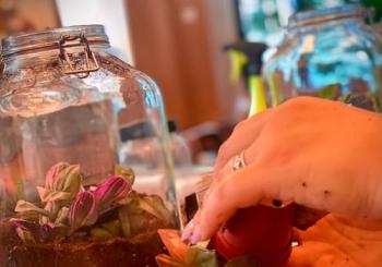 Workshop Terrarium au Serra Brussels