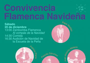 CONVIVENCIA FLAMENCA NAVIDEÑA en Cartagena