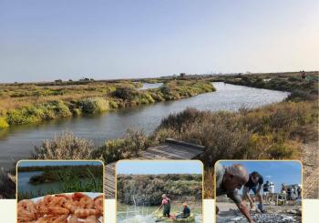 ESTERO NATURAL: SÁBADOS DE ESTEROS en PUERTO REAL (PUNTO LIMPIO DE CASINES A LAS 12:30)