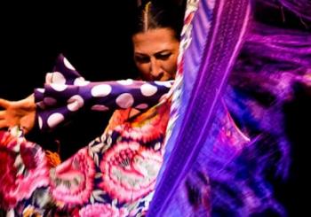 Museo del Baile Flamenco: Solo el espectáculo en Sevilla