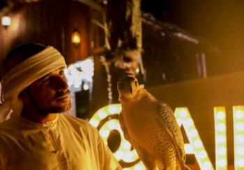Premium Desert Safari: Camel Ride, Falconry, and BBQ Dinner United Arab Emirates