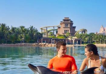 Atlas Village - Dolphin Experiences en United Arab Emirates