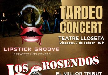Tributo a Rosendo en el Teatre Lloseta en Lloseta (Mallorca)