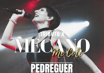 ME COLÉ ( TRIBUTO A MECANO ) EN PEDREGUER