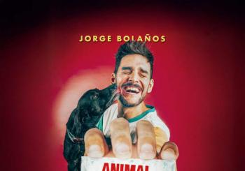 Animal de Compañía en Tenerife