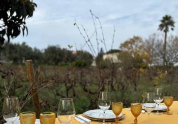 Almoço entre vinhas! Uma experiência gastronómica em Tomar a Coimbra