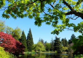 VanDusen Botanical Garden: A green city-centre oasis a Vancouver