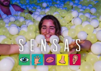 SENSAS : Vivez une expérience sensorielle unique à Bruxelles Brussels