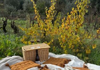 Pic nic vínico a dois! Uma experiência gastronómica em Tomar a Coimbra