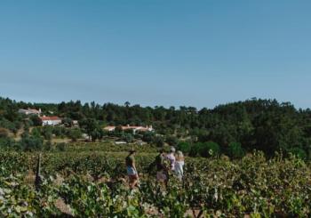 Revelar a essência do nosso Terroir! Uma experiência gastronómica em Tomar Coimbra