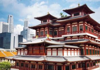 Singapore for Dummies: Food and Culture Guided Tour