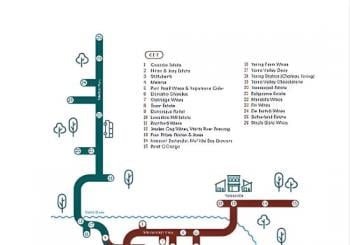 From Melbourne: Hop On Hop Off Yarra Valley - GREEN Route