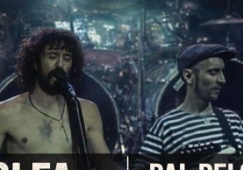 Tributo a Extremoduro y Platero y Tú en The Rose Yuncler -Toledo