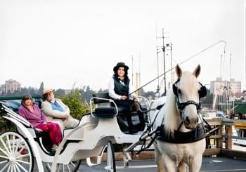 90-Minute The Capital Tour Victoria