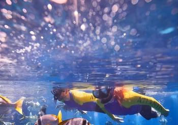Dubai Lost Chambers Ultimate Snorkel Experience United Arab Emirates