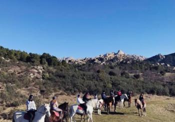Experiencia a caballo: clases en plena naturaleza en Madrid