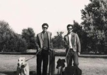 Taburete - Festival de La Lavanda Guadalajara