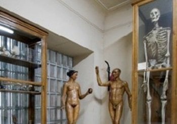 Museo Anatomía J.Puerta - Visita educativa Madrid