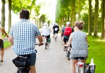 Small Group VIP Versailles Bike Tour from Paris with King's Apartments Access