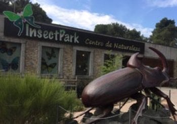 InsectPark: Explora el fascinante mundo de los insectos y arácnidos El Escorial