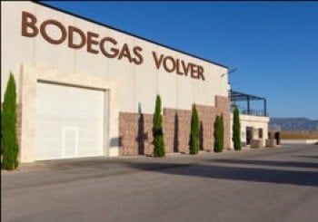 Experiencia Volver. Del viñedo a la copa, visita + cata Pinoso