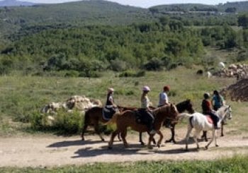 Disfruta de una ruta a caballo la Masia Cogullada Canyelles