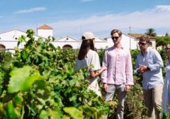 Brinda y disfruta: cata de vinos y espumosos Finca Nadal El Pla del Penedès